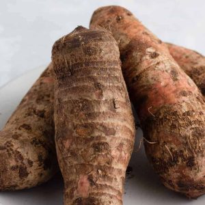 Cocoyam