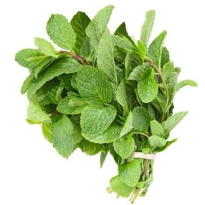 Scent leaves