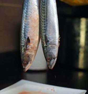 Titus Mackerel fish