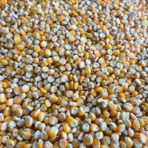 Dry Corn Agbado 2kg