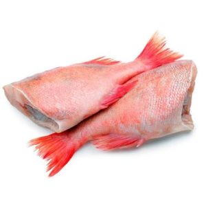 Red bream fish